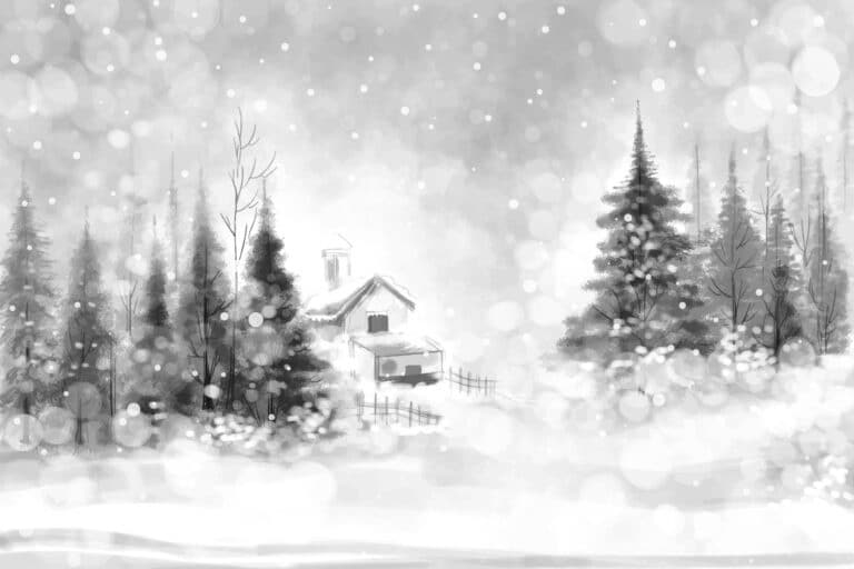 Winter background of snow and frost christmas tree card design